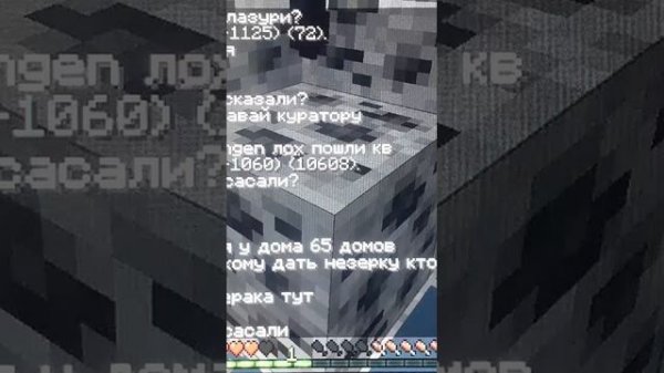 x-ray на сервере домера