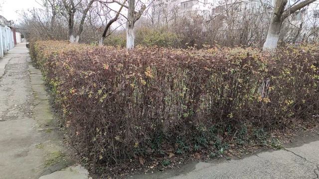 Один из дней города Евпатории | 12 января 2021 г | Крым | ХАН БАТОН XAH 6ATOH / VID_20210112_134009 смотреть онлайн