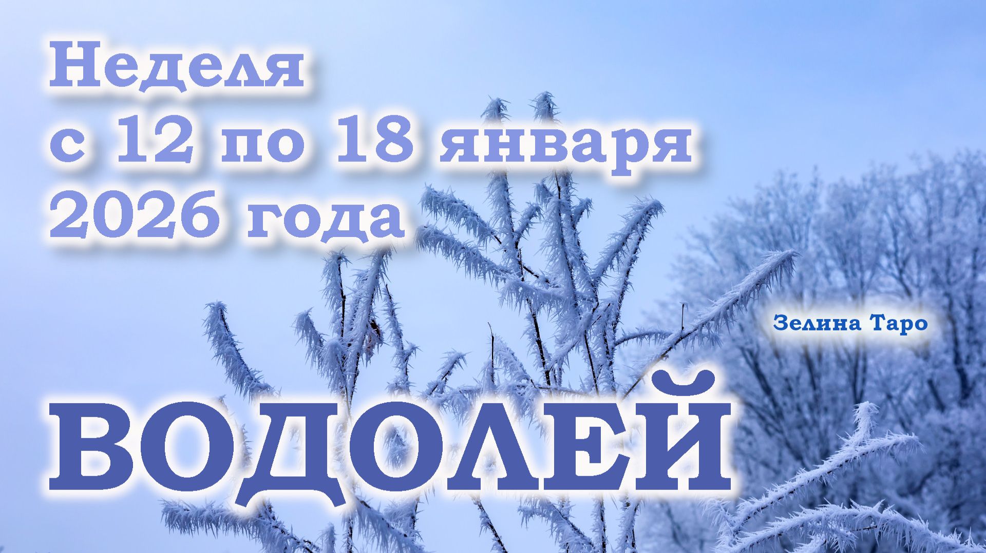 ВОДОЛЕЙ | ТАРО прогноз на неделю с 12 по 18 января 2026 года