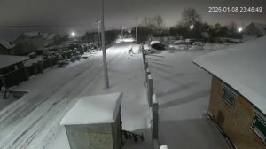 орешник по газовому хранилищу в Львовской области