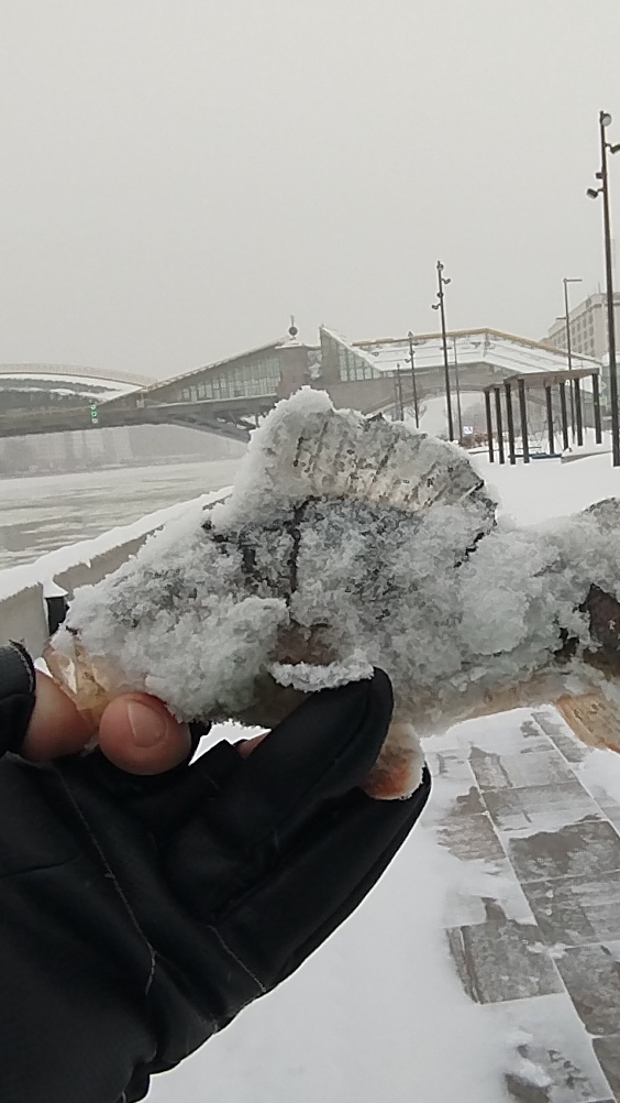 МЧС ПРЕДУПРЕЖДАЛИ А Я ПОШЁЛ⚡🎣 смотреть онлайн