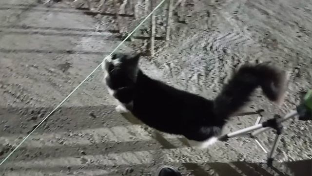 Возведение стен первого этажа. Начало.mp4 смотреть онлайн