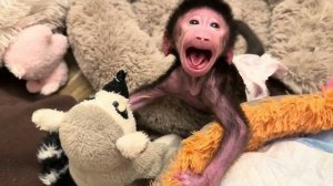 Вы только посмотрите, малышке Николь всего несколько дней, а она уже преодолевает препятствия😘