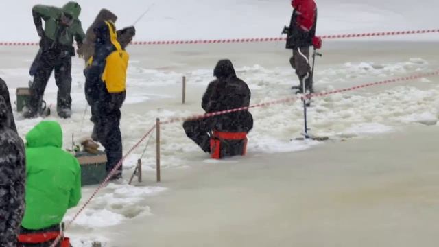 1000137996.mp4 смотреть онлайн