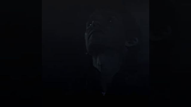 Брайан Мозер эдит смотреть онлайн