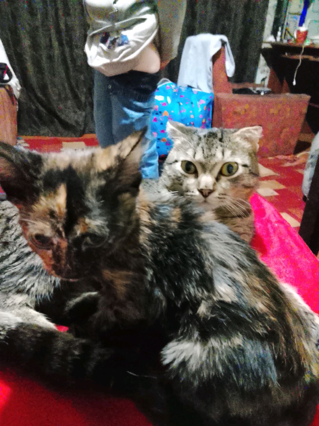 от нуля до фул 6 смотреть онлайн