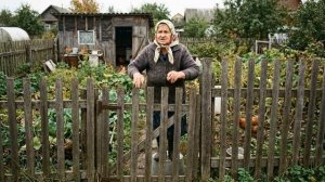 СНТ: дороги, свет, вода… когда-нибудь | Серия 8