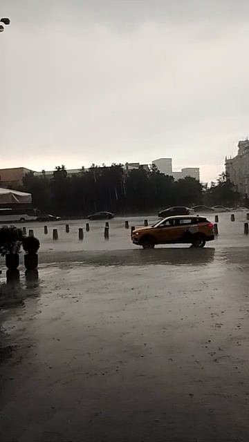 1000049656.mp4 смотреть онлайн