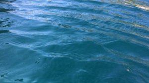 О том, как телефон упал в море и остался жив!