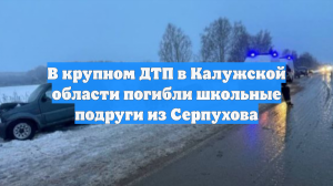 В крупном ДТП в Калужской области погибли школьные подруги из Серпухова