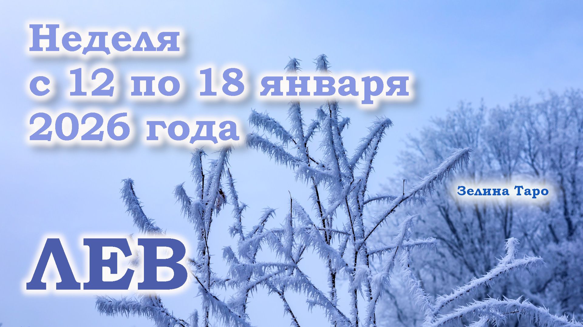ЛЕВ | ТАРО прогноз на неделю с 12 по 18 января 2026 года смотреть онлайн