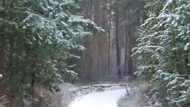 10 Бальзам для позвоночника. Станислав Лосев_ Как затянуть глубокие душевные раны смотреть онлайн