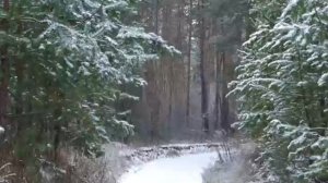 10 Бальзам для позвоночника. Станислав Лосев_ Как затянуть глубокие душевные раны