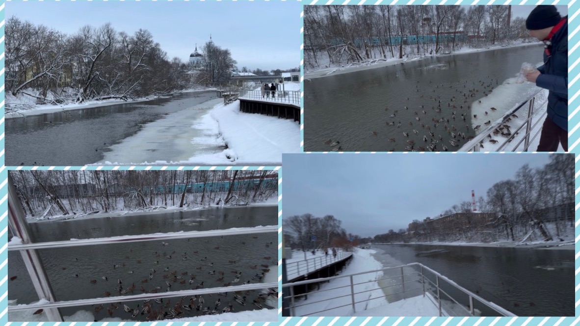 Ногинск, набережная реки Клязьмы. Очень много уток смотреть онлайн