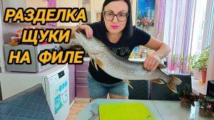 РАЗДЕЛКА ЩУКИ НА ФИЛЕ 🐟 ПОПАЛАСЬ ИКРЯНАЯ ЩУЧКА 😀👍