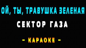 Караоке Сектор Газа - Ой, ты, травушка зеленая