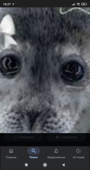 Рубрика с Васей