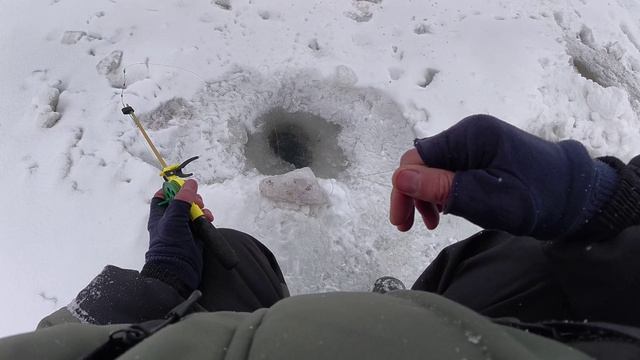 От Одной к Другой! Клево! Зимняя Рыбалка на Оке 2026! Рыбалка в Январе! смотреть онлайн