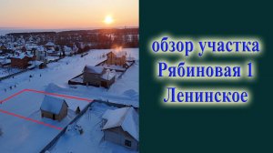 Обзор земельный участок в селе Ленинское Новосибирский район улица Рябиновая1