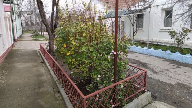 Один из дней города Евпатории | 11 января 2021 г | Крым | ХАН БАТОН XAH 6ATOH / VID_20210111_141006 смотреть онлайн