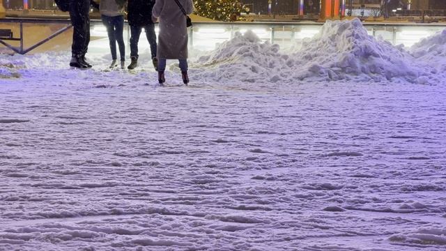 Состояние ледового покрытия катка ВДНХ 9 января во время аномального снегопада смотреть онлайн