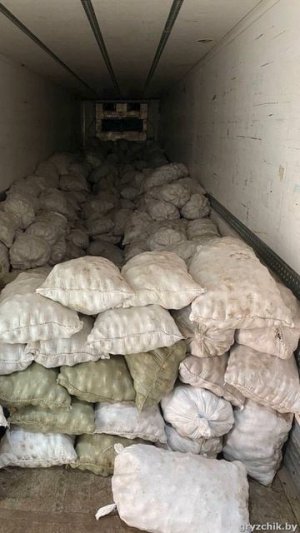 Золото Полей Услуги по перевозке в Минске и области