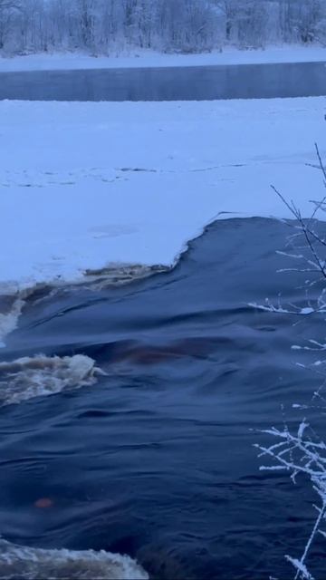 9 января 2026 год