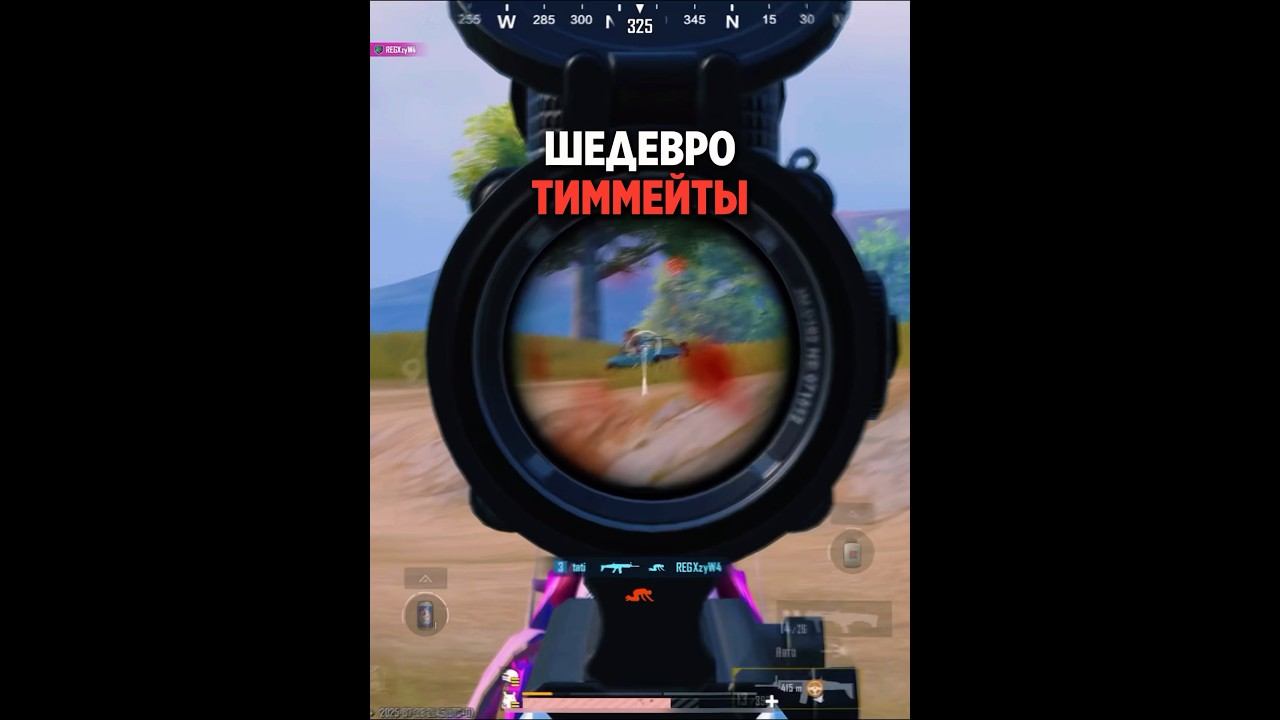Свой язык придумали #pubgmobile #пабг #пабгмобайл #pubgfunny смотреть онлайн