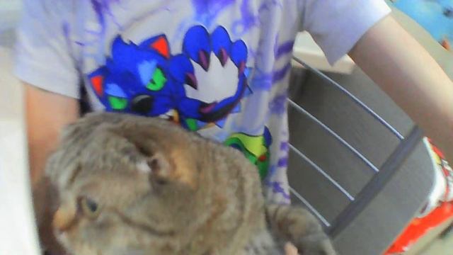 ВИДЕО С КАМЕРЫ+UNO смотреть онлайн