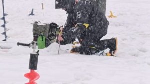 Спортзона.Поимка Форели