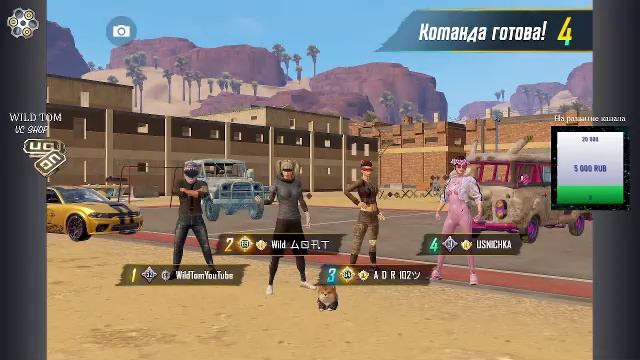 LIVE: WildTom_YouTube