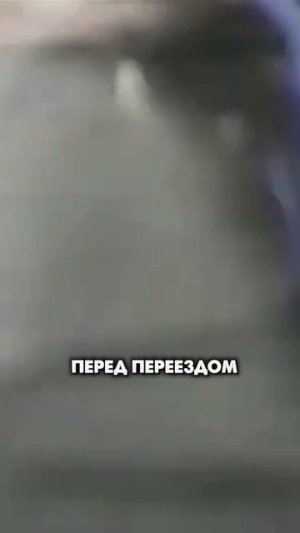 Ван Дамм и его бизнес