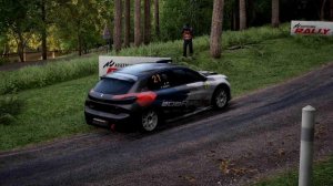 Assetto Corsa Rally - Новогоднее Ралли Peugeot 208 Rally - tv cam! - на руле MOZA R5