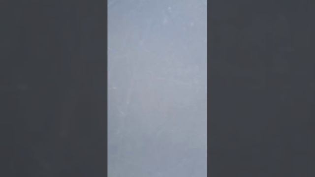 коток смотреть онлайн