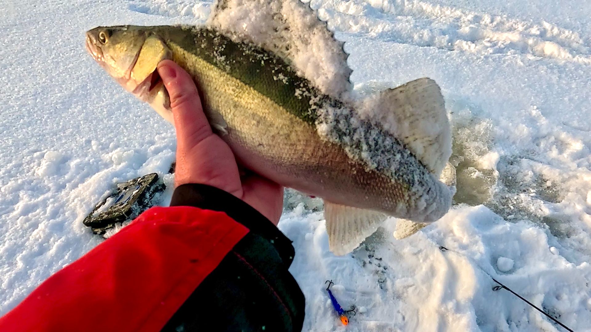 ПАРА ПОКЛЁВОК СДЕЛАЛИ НАШУ РЫБАЛКУ, КАНАРЫ, ЛОВИМ В ЧЕРТЕ ГОРОДА. смотреть онлайн
