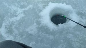 Рыбалка - прогулка, Водохранилище. Январский дождь. мкр.Шилово, Воронеж 08.01.2026 год.