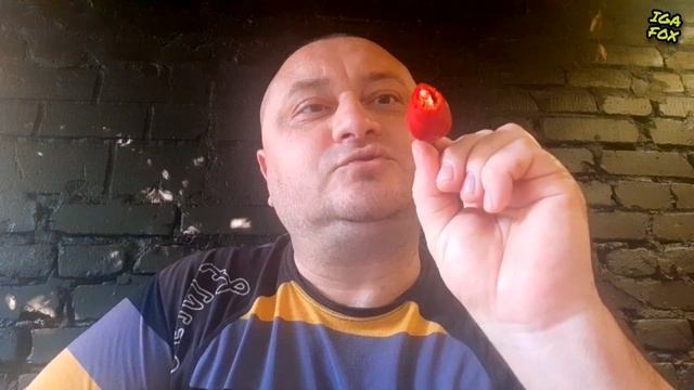 Съел острый перец Хабанеро целиком смотреть онлайн