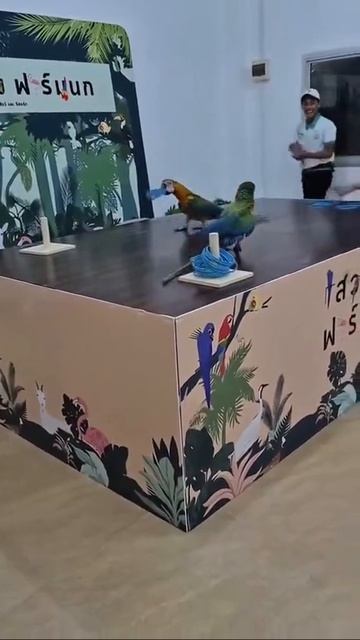 Иногда, чтобы выиграть, нужно просто немного смухлевать. Кто тут самый  умный?