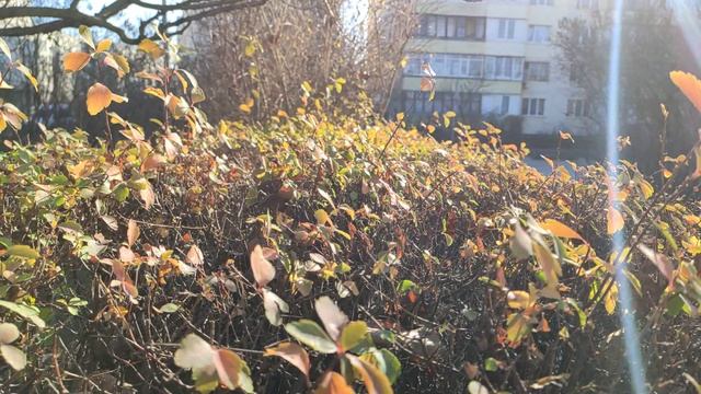 Один из дней города Евпатории | 6 января 2021 год | Крым | ХАН БАТОН XAH 6ATOH / VID_20210106_140835