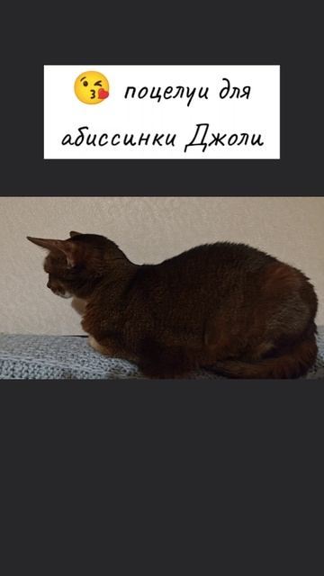 Самая бескорыстная ❤️любовь - это к детям и питомцам.