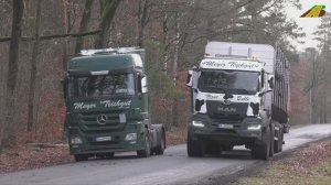 Как добывают лес в германии