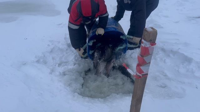 copy_9933F467-6C2C-46A0-96F8-06ADF68E3563 смотреть онлайн