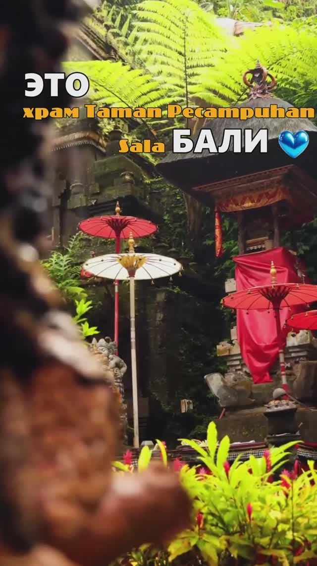 Место, где можно очистить душу! 🧘♂️🪷🙏🇮🇩❤️Pura Taman Pecampuhan Sala