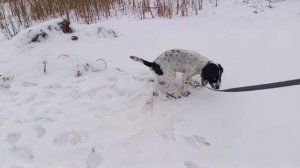 от первого лица зомби и сиреноголовый объединились сериал от venomden