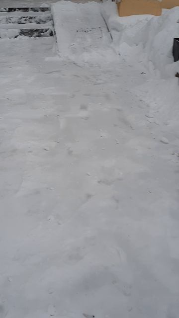 Снег убираем сами, дворники АУ куда пропали?💥🔥