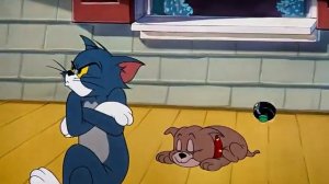 Tom and Jerry