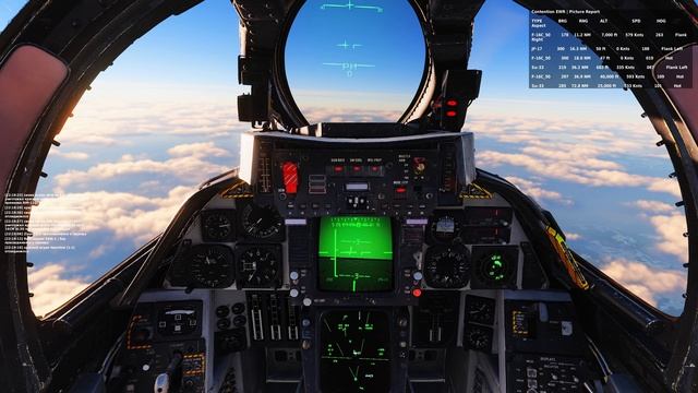 DCS F14 Contention Server