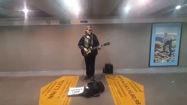 новый год 2026 ЕЛКА