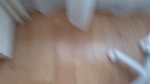 влог со СКВИШ собачкой и котами 🫠