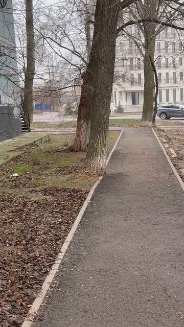 Белка чуть не забрала меня осенью))